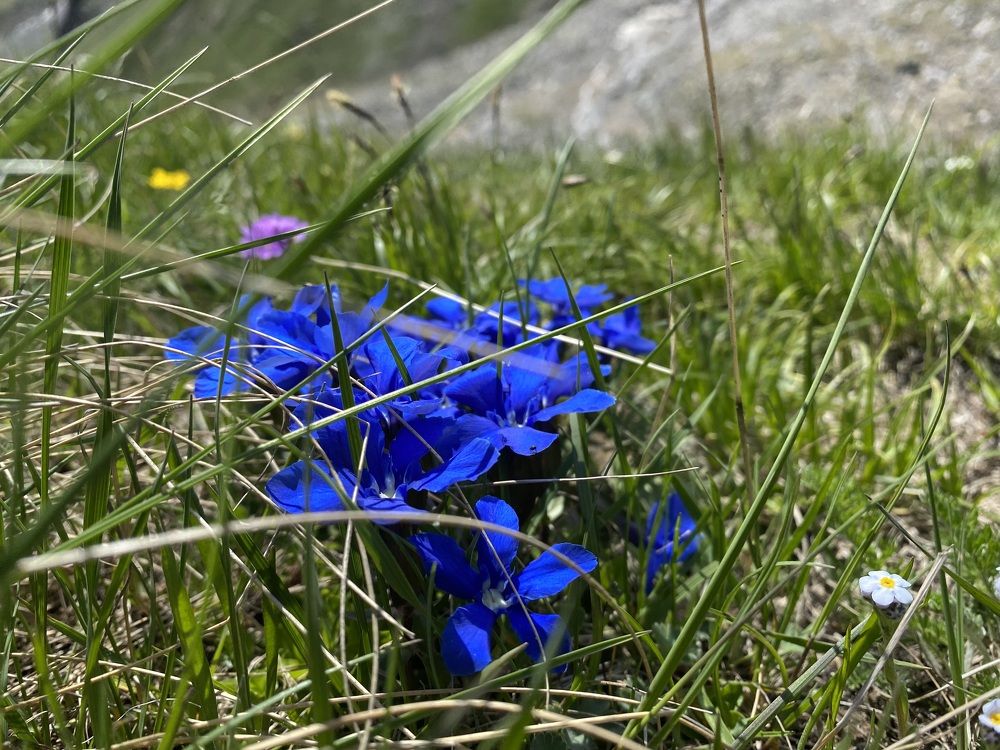 Photograph by Ольга Шабалина