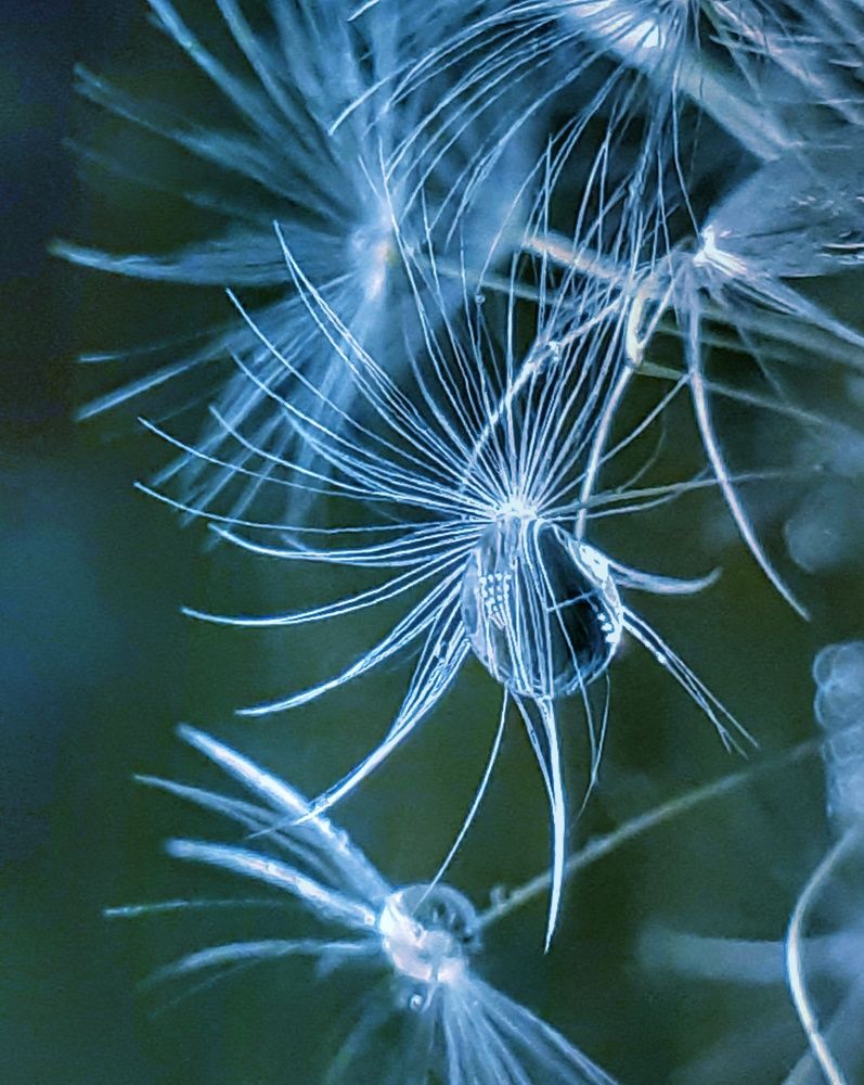 Photograph by Ольга Хромова