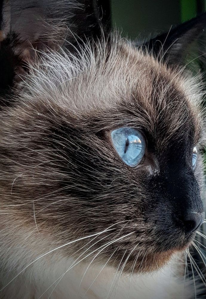 Photograph by Ольга Хромова