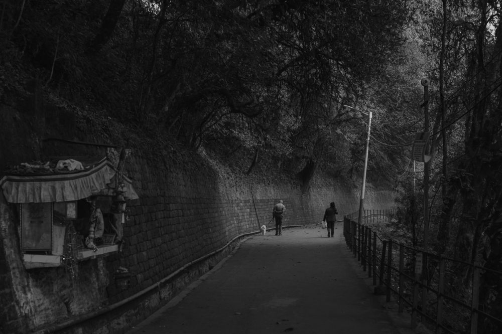 Photograph by Biswa Tshering Tamang