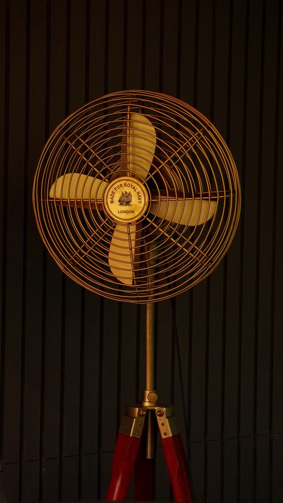 Photograph by Muhammed Junaid A P