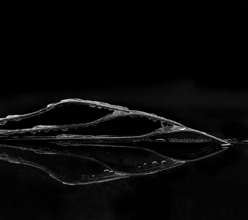 Photograph by Дина Желанова