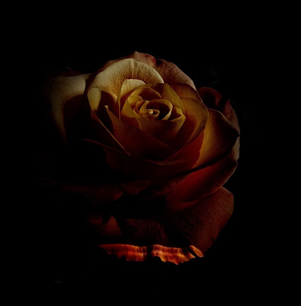 Photograph by Irina Dali