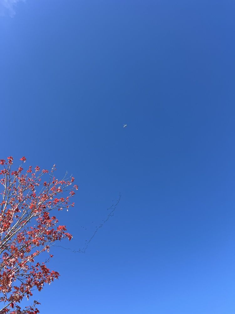 Фотография автора Diana