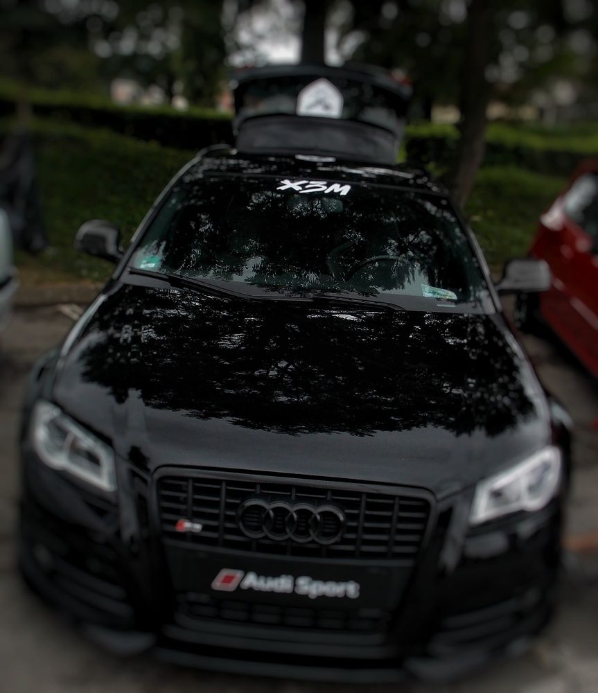 Photograph by Dragoslav Macanović