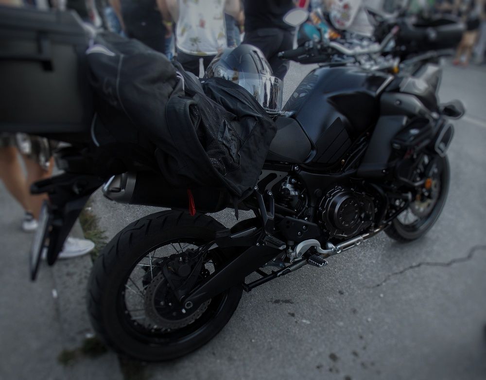 Photograph by Dragoslav Macanović