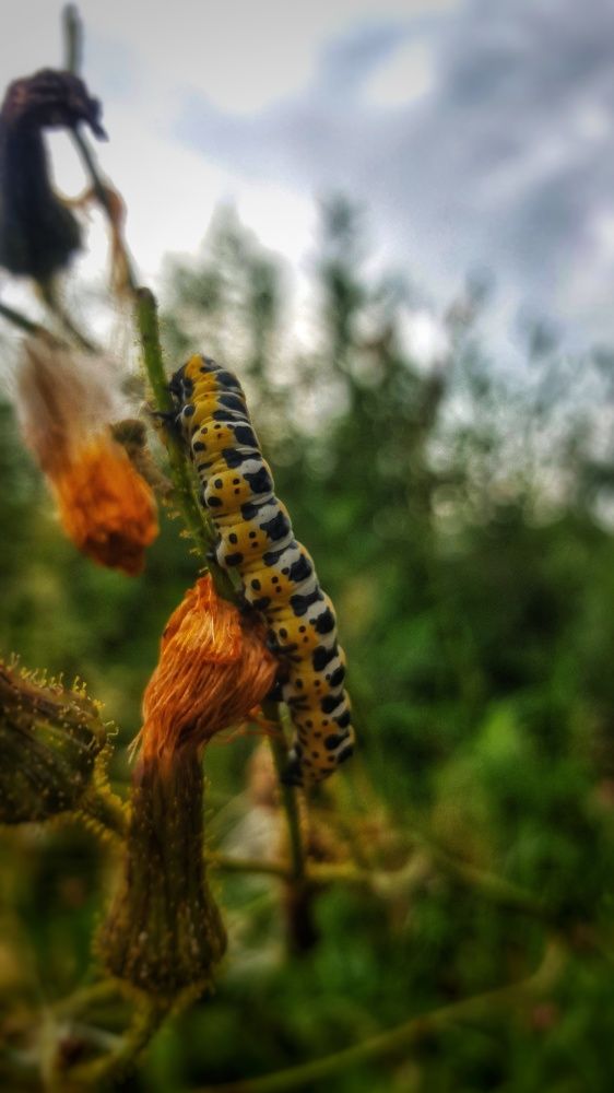 Photograph by Митюшкова Алёна