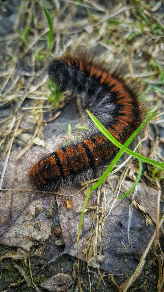 Photograph by Митюшкова Алёна