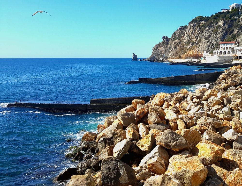 Photograph by Sofia Koshman