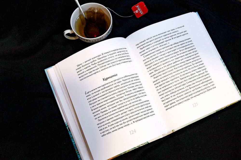 Photograph by Евгений Авдеев