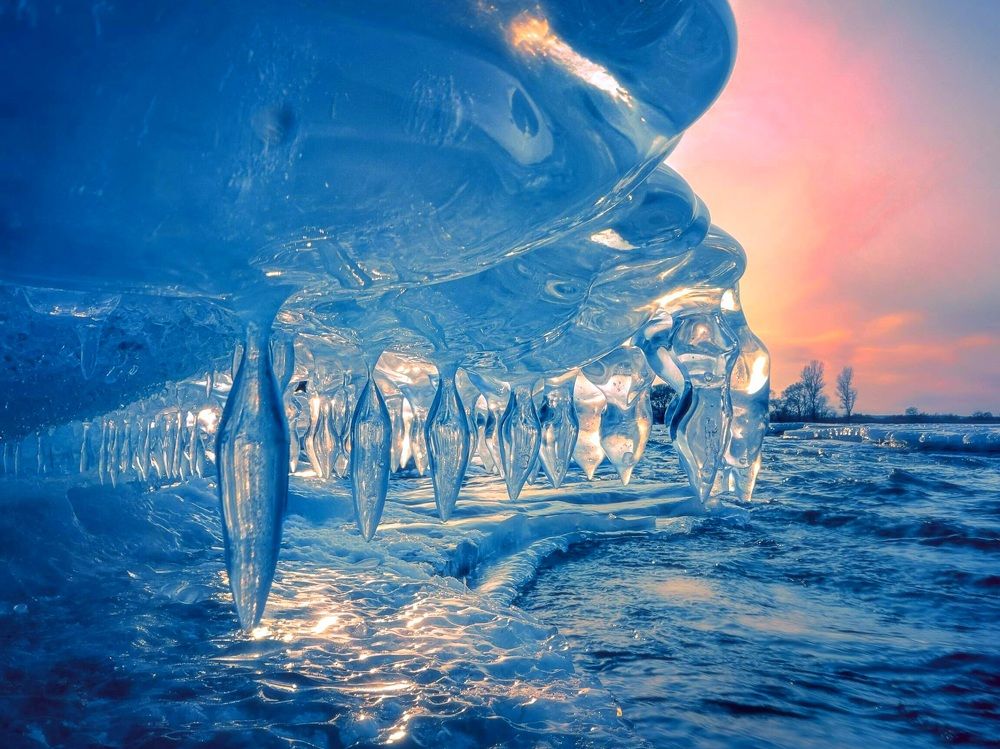 Стая ледяных акул.
