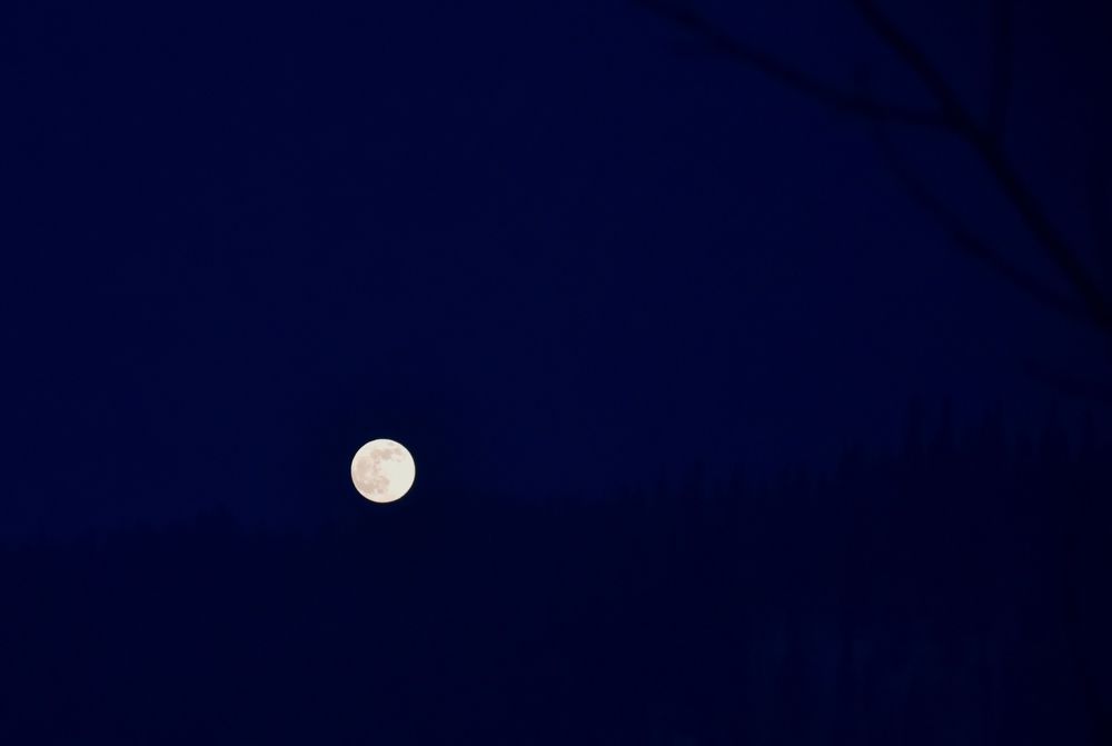 Photograph by Наталья Сорокина