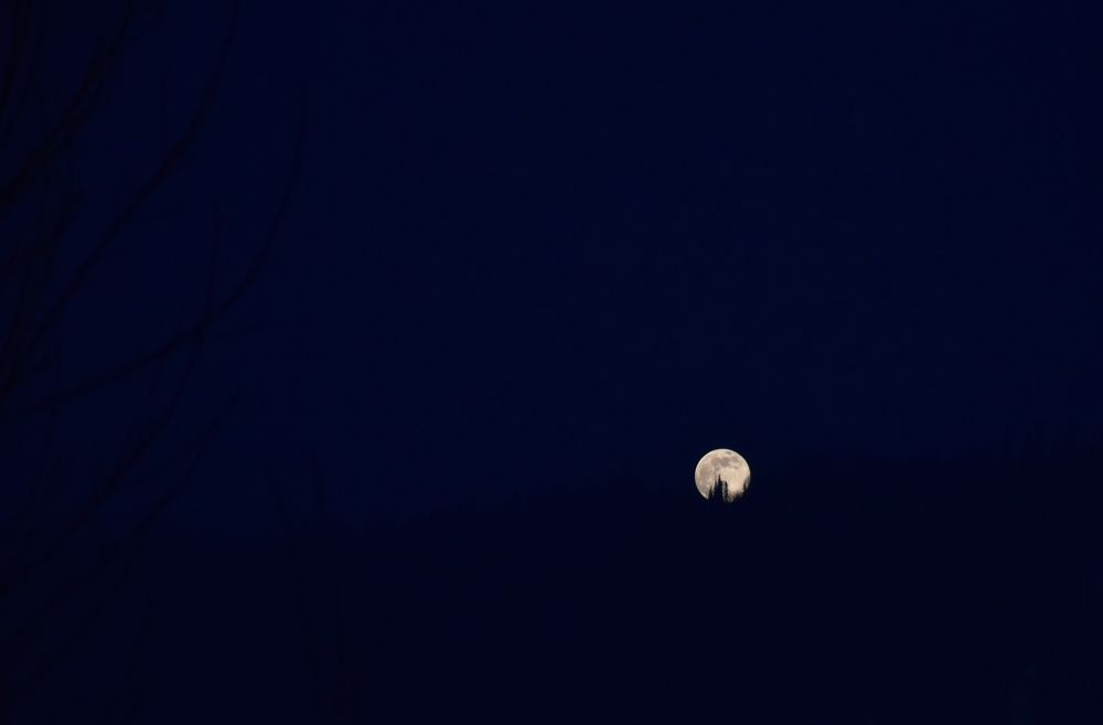 Photograph by Наталья Сорокина