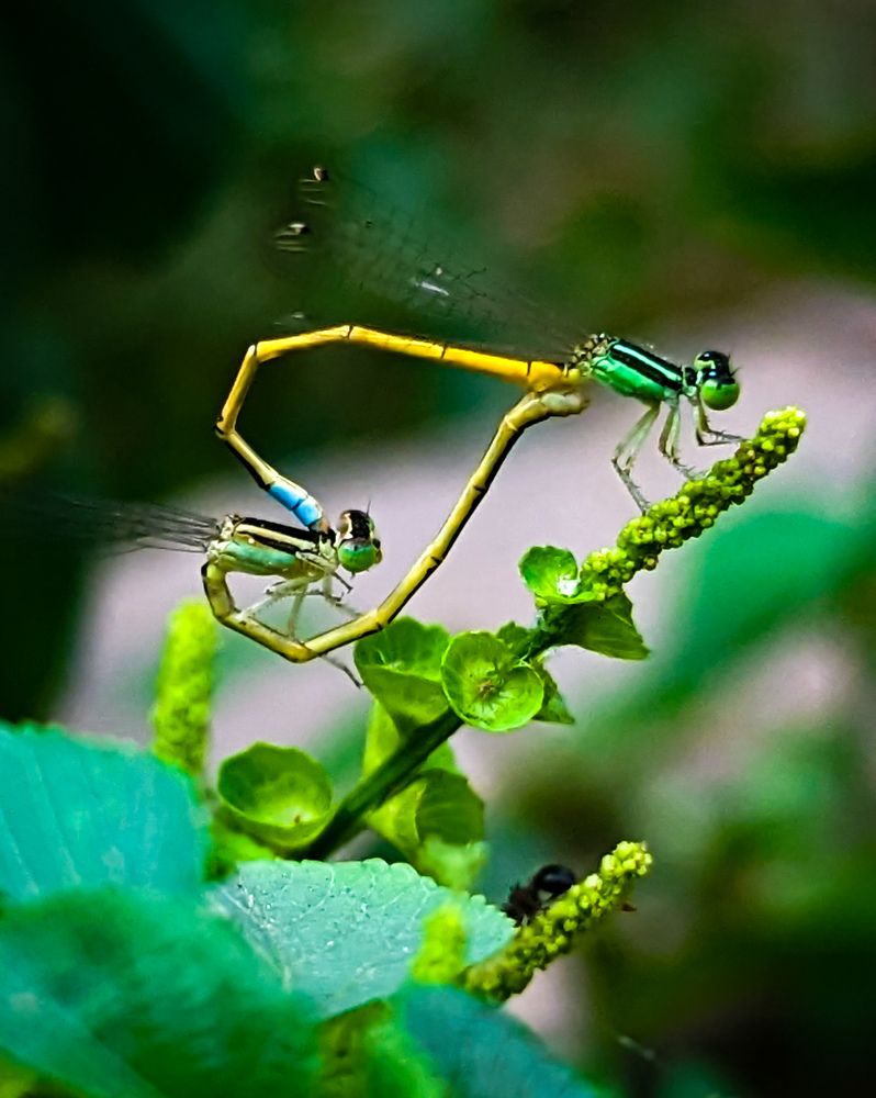 Photograph by SARAVANA MANICKAM