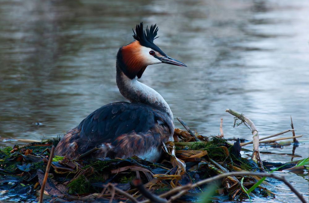 Фотография автора Марина Шоркина