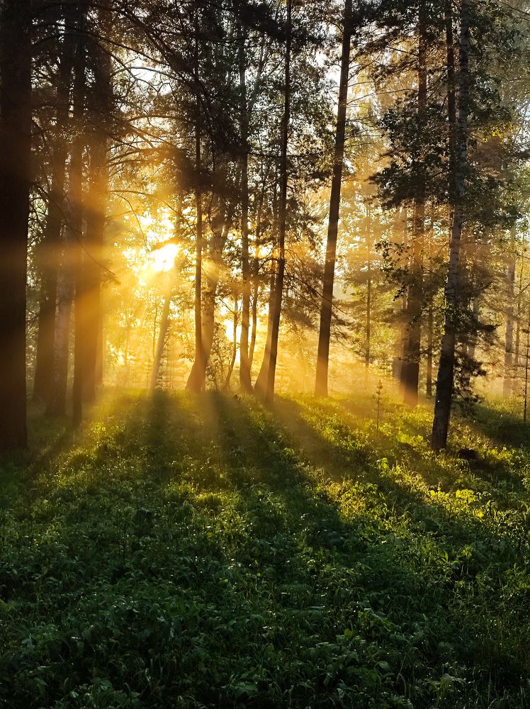 Фотография автора Эльвира Чернова