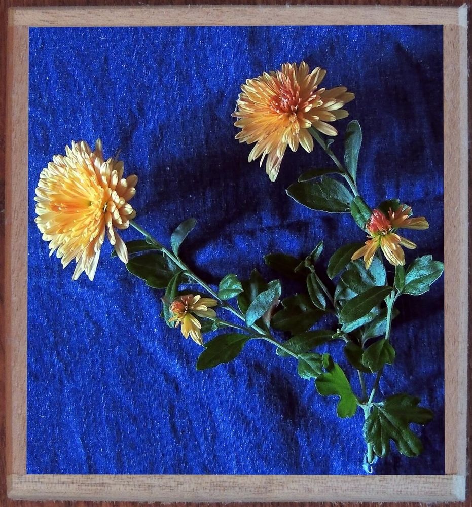 Photograph by Савоцкий Роман