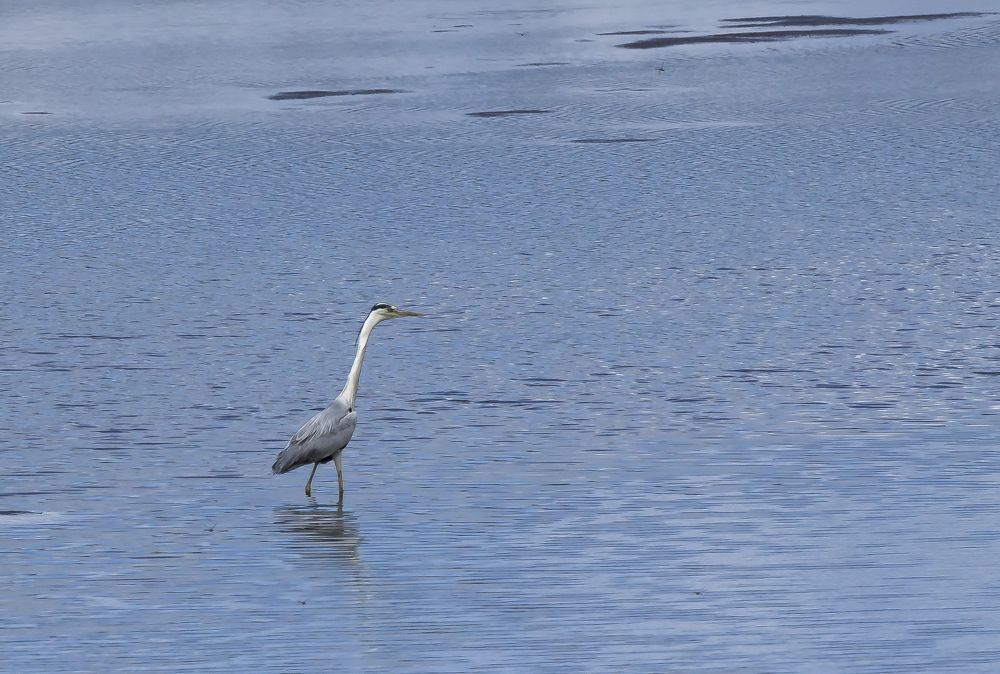 Photograph by Koledova Irina