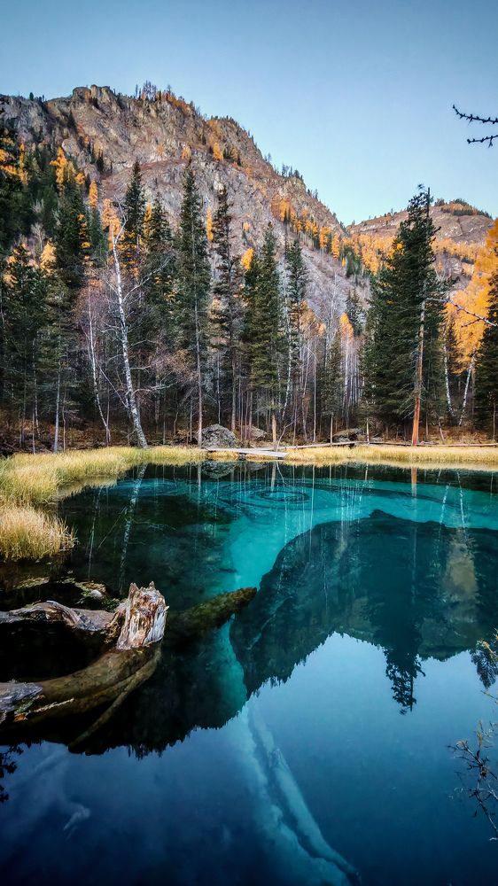 Фотография автора Эльвира Чернова