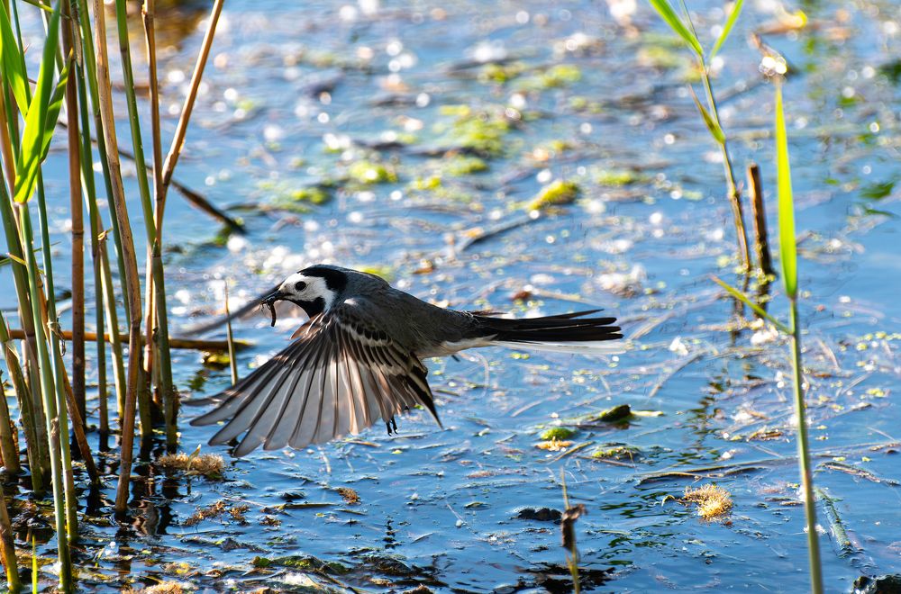Photograph by Марина Шоркина