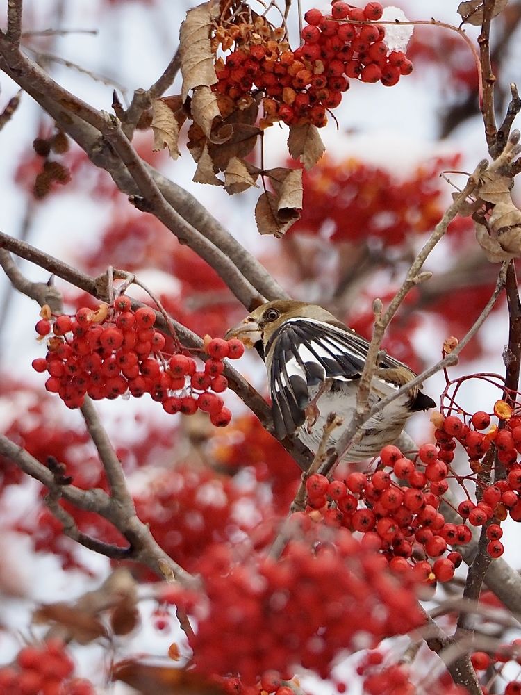 Photograph by Юлия Поршнева