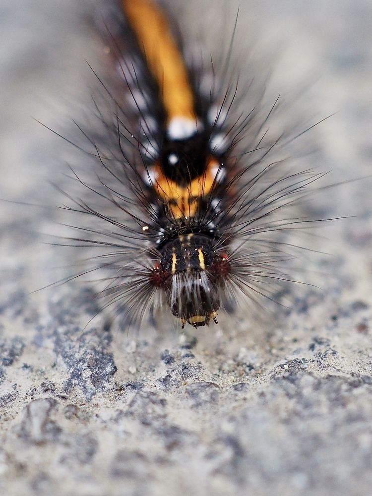 Photograph by Юлия Поршнева