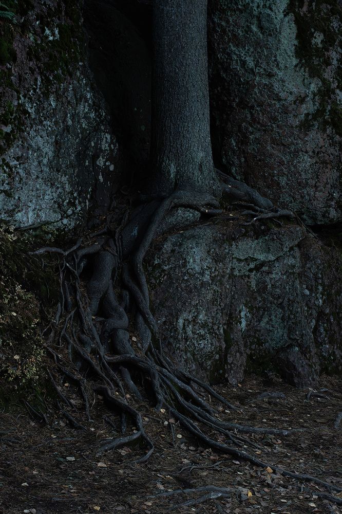 Photograph by Марина Шоркина