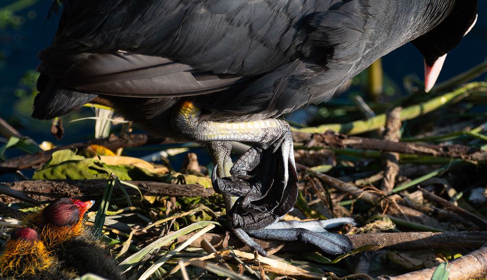 Photograph by Марина Шоркина