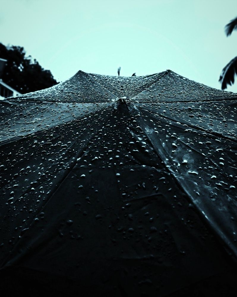 Фотография автора Debdutt Saha