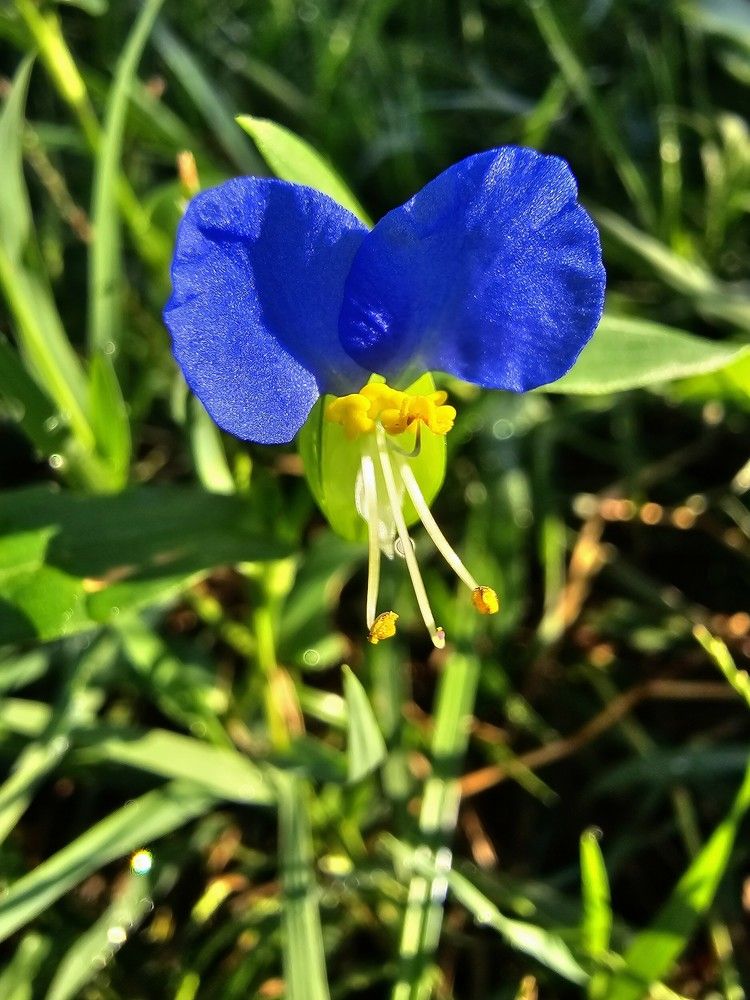 Фотография автора Ольга Костенко