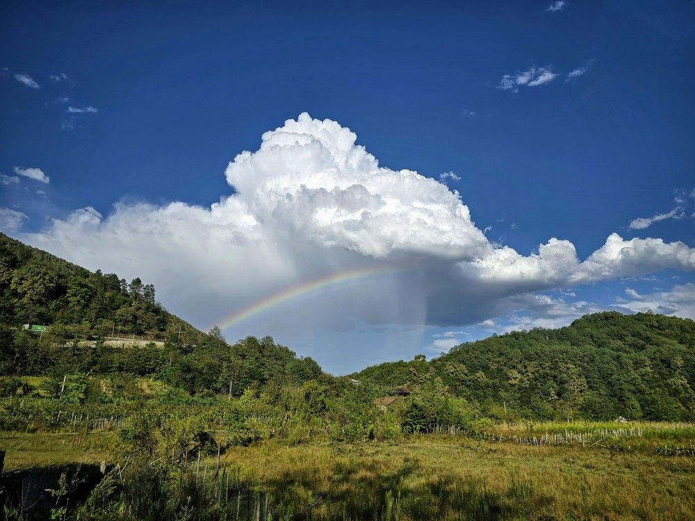 Фотография автора Ольга Костенко