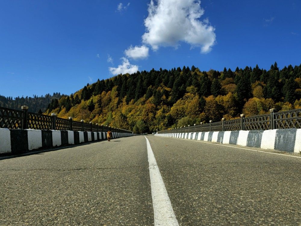 Фотография автора Ольга Костенко