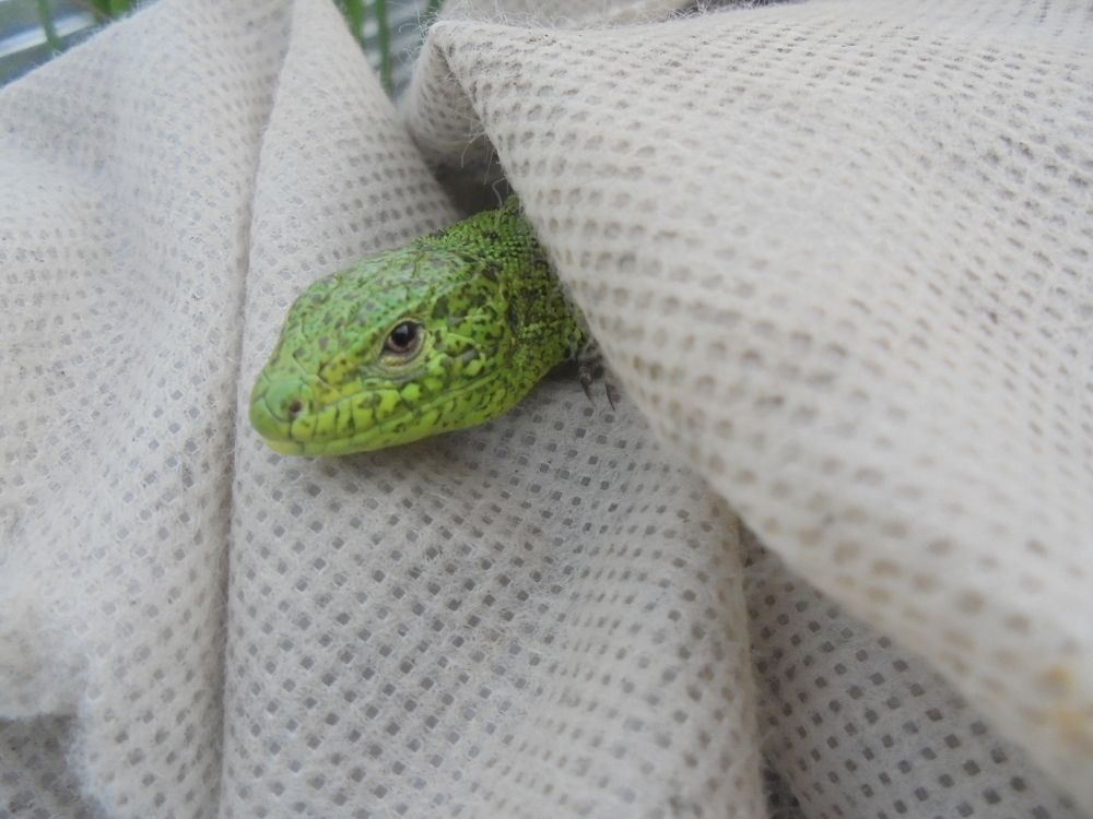 Photograph by Лилия Исхакова