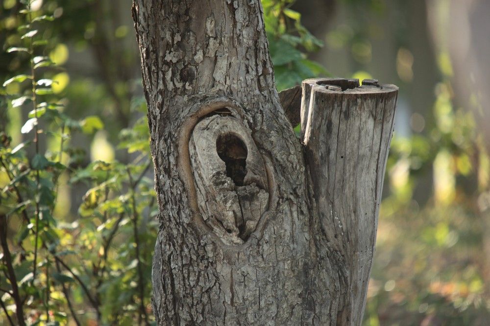 Photograph by Павел Швецов