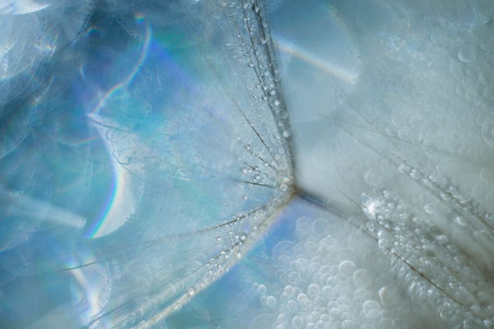 Photograph by Наталья Лещинская