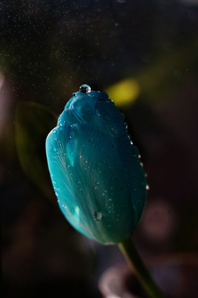 Photograph by Наталья Шленкина