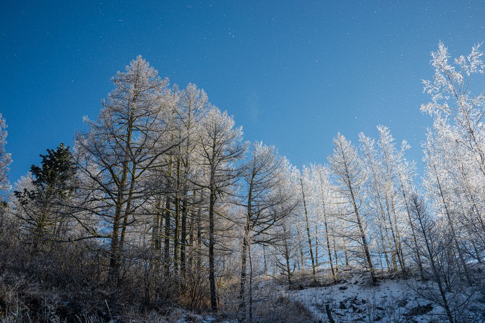 Фотография автора NIKOLAY KALININ