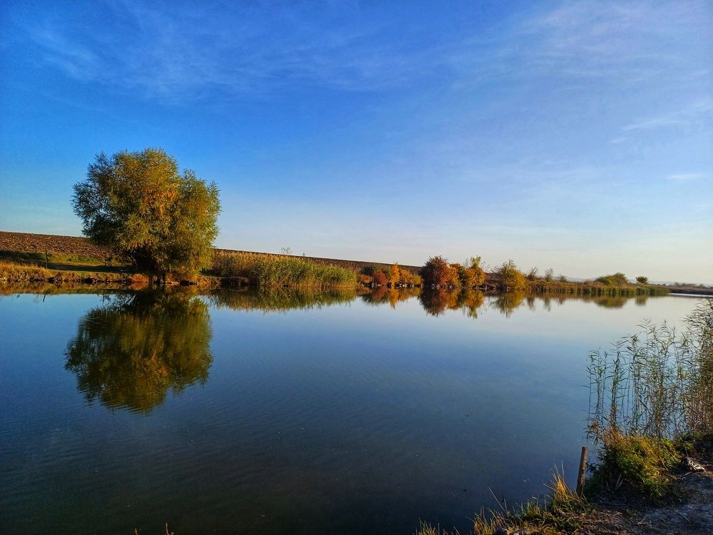 Photograph by Севинч Мустан