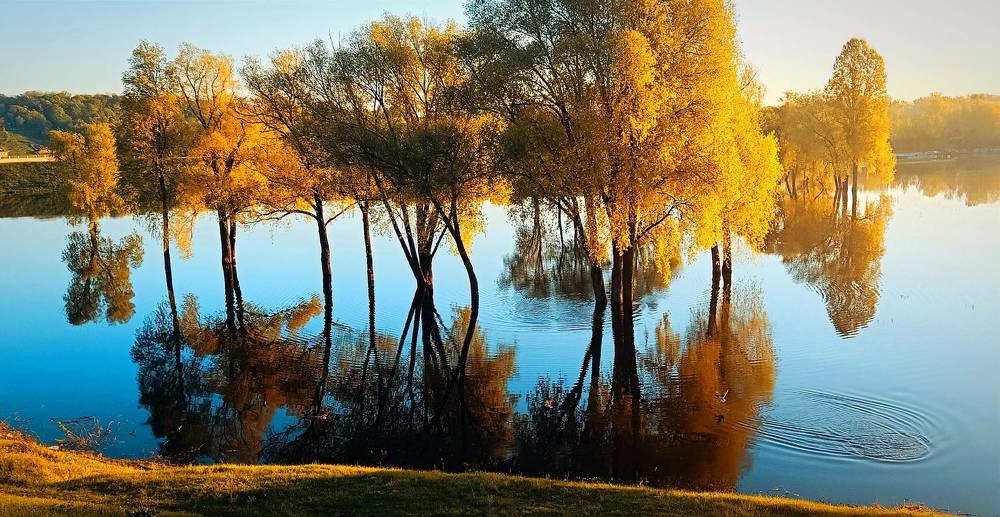 Photograph by Mishel Photographer