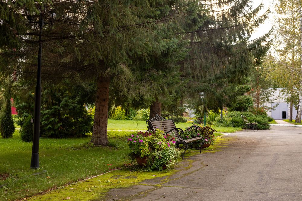 Photograph by Константин