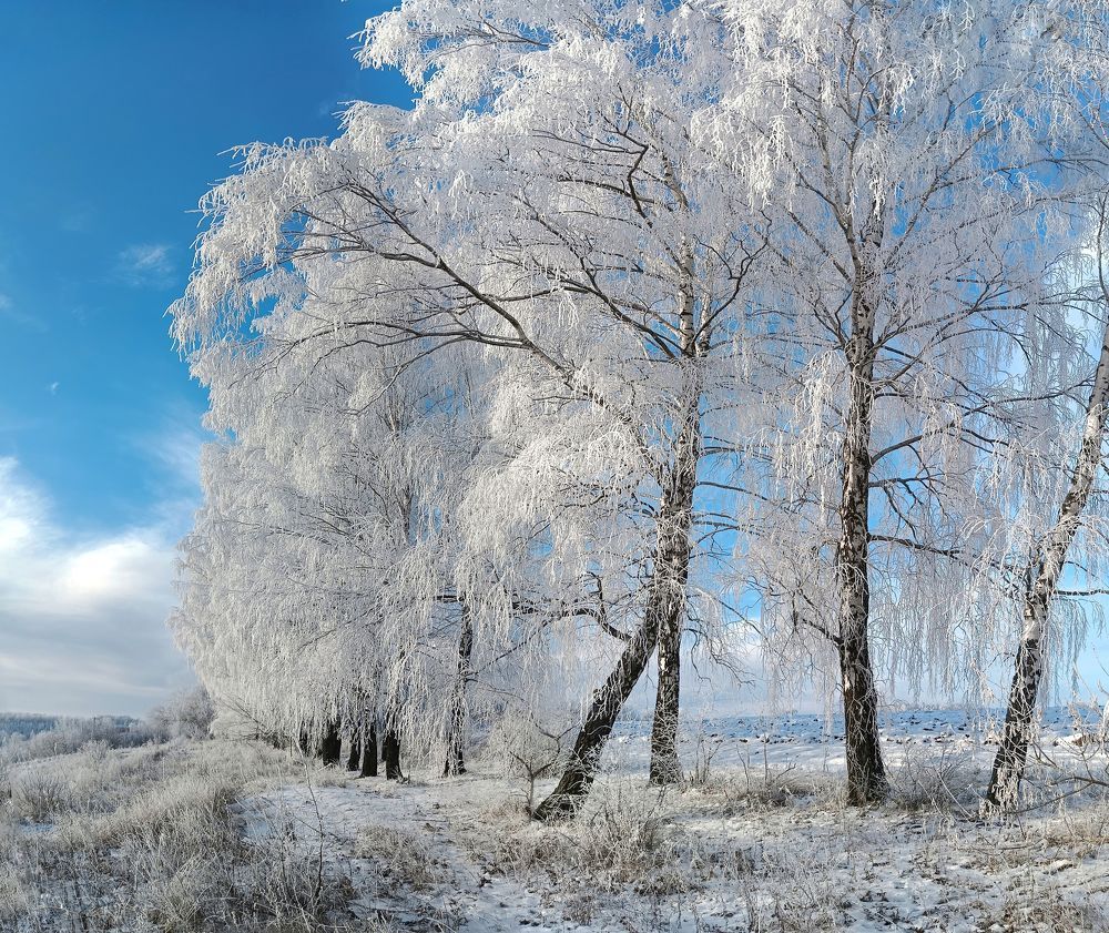 Photograph by Кондрашова Светлана