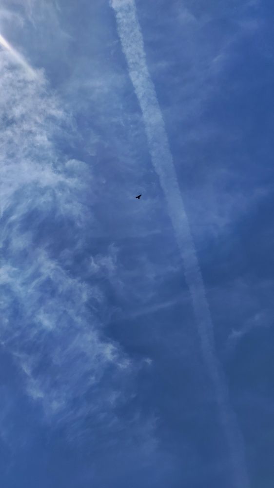 Photograph by Калюнова Наталья