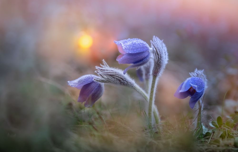 Photograph by Khlebnikova Ekaterina