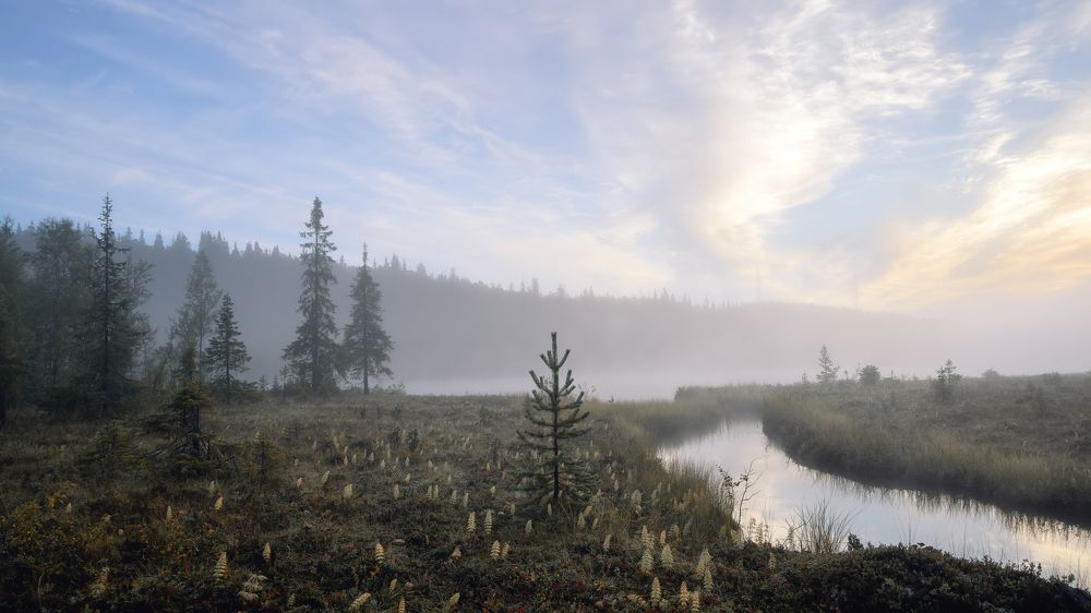 Сентябрьское утро