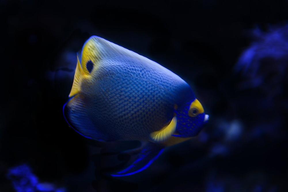 Photograph by Елена Ласун