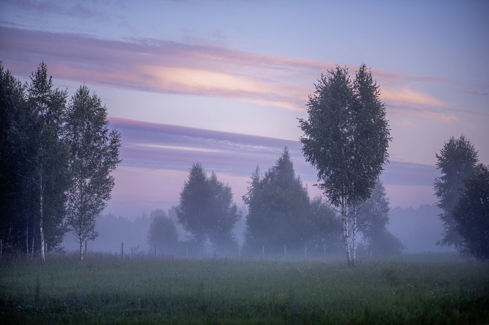 Photograph by Валентина Тарасова
