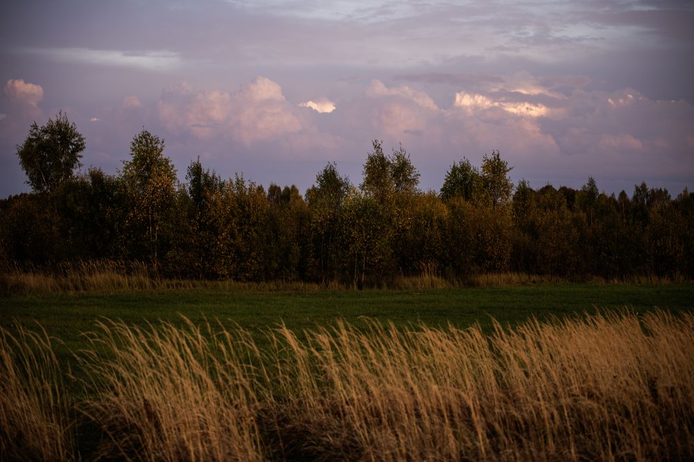 Photograph by Валентина Тарасова