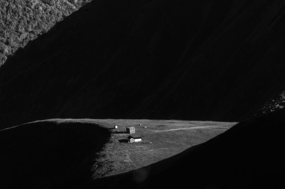 Photograph by Olga Sharikova