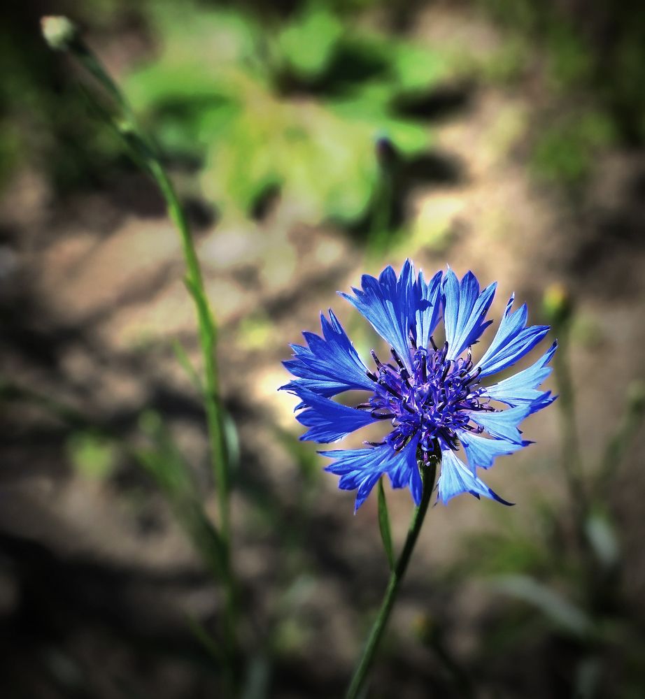 Photograph by Анатолий Максимов