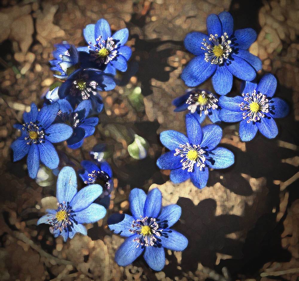 Photograph by Анатолий Максимов